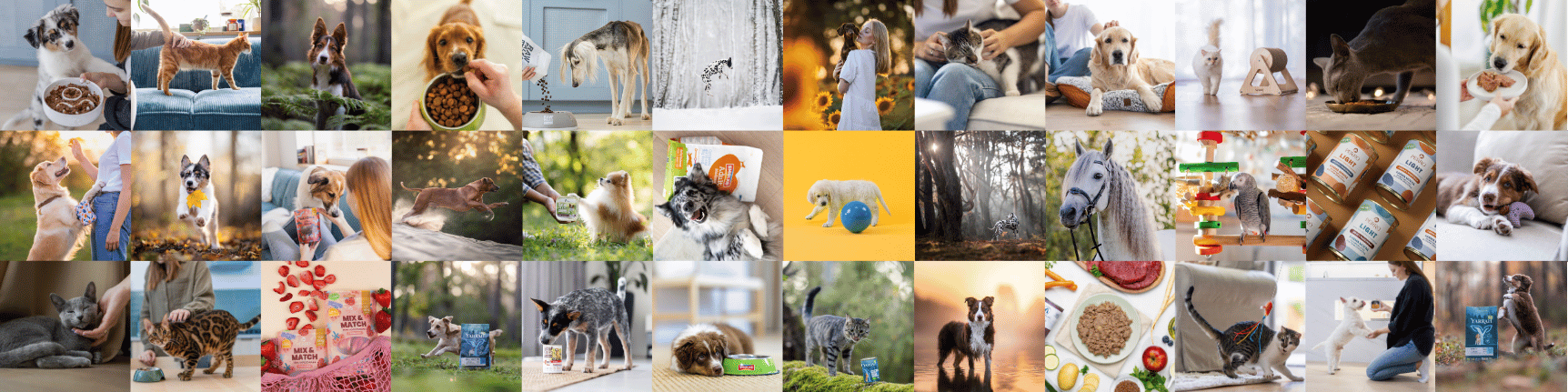 marketing dla branży zoologicznej – zdjęcia produktowe karmy